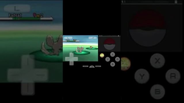 Como jugar Pokemon Blanco en Drastic guia de cheats | Nekrye смотреть онлайн