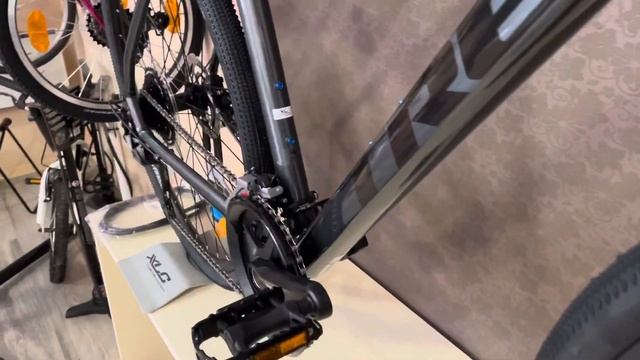 Trek Dual Sport 3, 2021