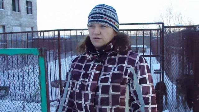 Акция "Твори ДОБРО!!!" 2 Б класс смотреть онлайн