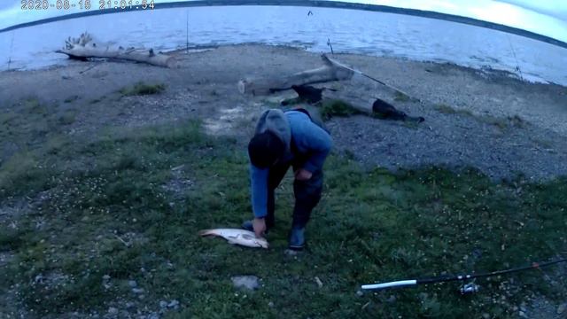 На пароме за крупным сазаном смотреть онлайн