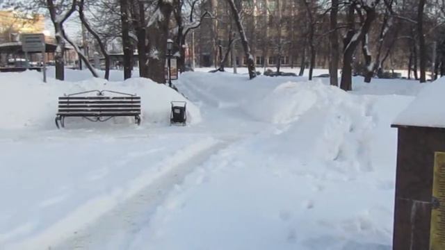 Прогулка по Воронежу 25.01.2019 смотреть онлайн