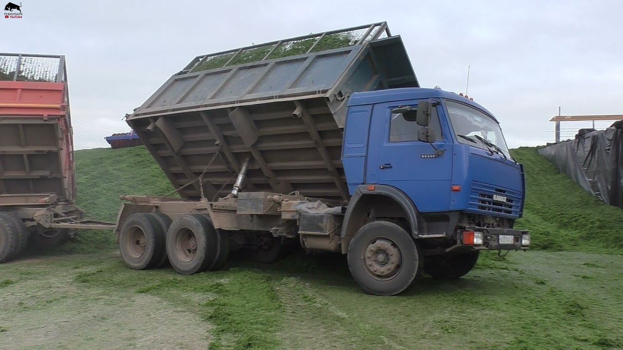 Два зверя на трамбовке сенажа! смотреть онлайн