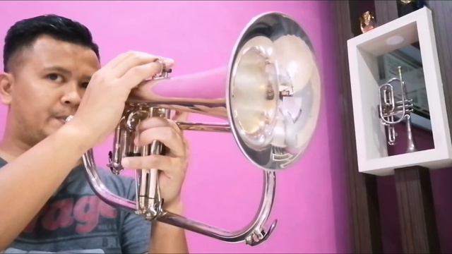 What A Wonderful World - Louis Armstrong (Flugelhorn Cover) смотреть онлайн