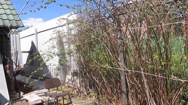 ЕЖЕВИКА. Весенний уход. смотреть онлайн