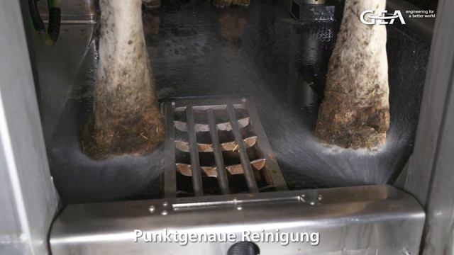 Klauenwasch- und Desinfektionsanlge im GEA DairyRobot R9500 смотреть онлайн