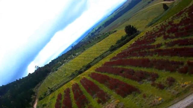 BKB Auction Groot Brak: Santa Bonne смотреть онлайн