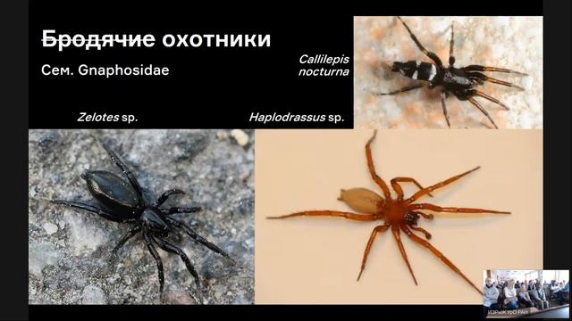 NAUKA 0+ лекция А.Н. Созонтова 