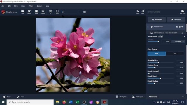 Topaz Studio 2 Abstraction filter demo смотреть онлайн