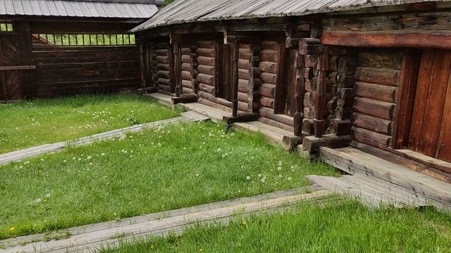 Ласточки #shorts смотреть онлайн