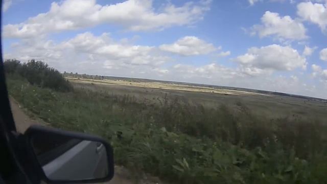 поездка за грибами ЯРОСЛАВЛЬ -Гаврилов Ям смотреть онлайн