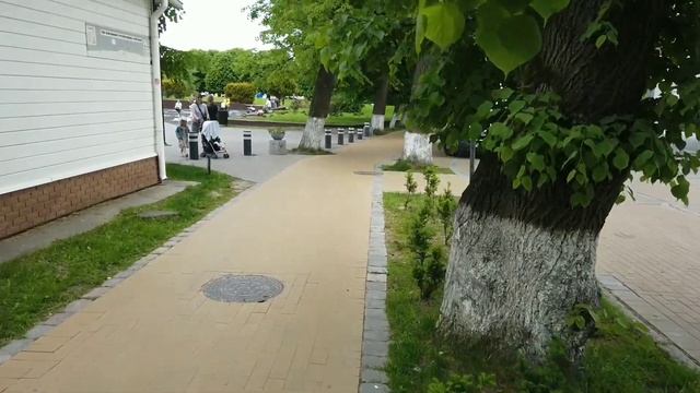 Зеленоградск-прогулка по городу кошек// Променад Зеленоградска смотреть онлайн