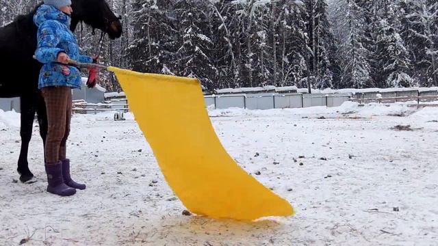 2017-01-15 Игого Курсинг Флаг смотреть онлайн