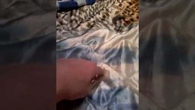 Что делать если перднул на уроке смотреть онлайн