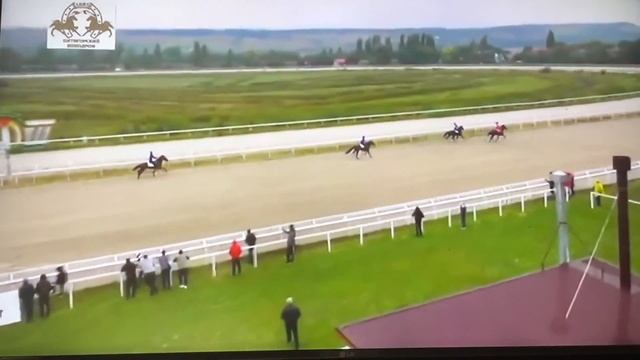 Бега (рысаки иноходцы) Пятигорск 12.09.2021г смотреть онлайн