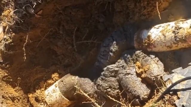 Реклама про Фитомуцил (Прикол) смотреть онлайн