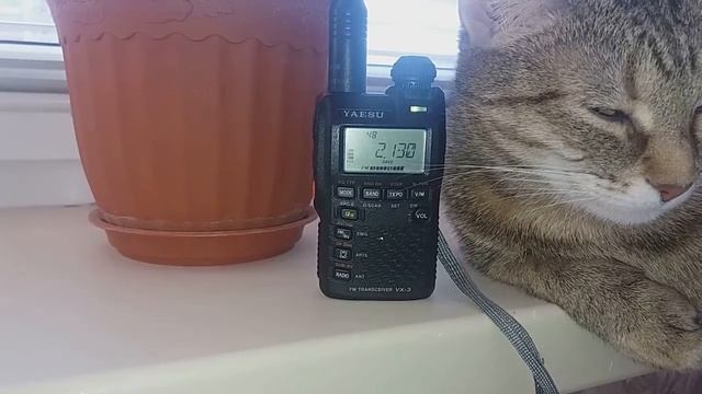 Поездная радиосвязь 2130 кГц. YAESU VX-3R смотреть онлайн