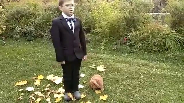 Властислав Степанов читает стихотворение А.А Блока "Зайчик" смотреть онлайн