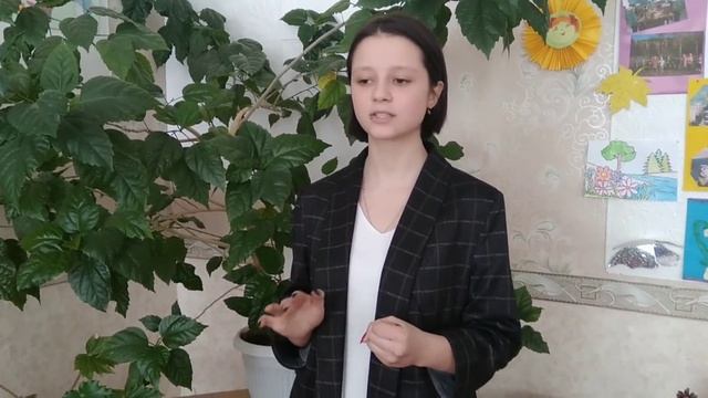 Читаем стихотворения Р Рождественского Поэтический винегрет