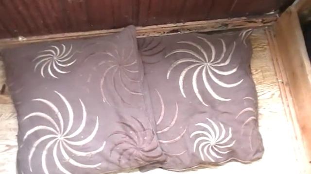 трансформация балкона в дендрариум смотреть онлайн