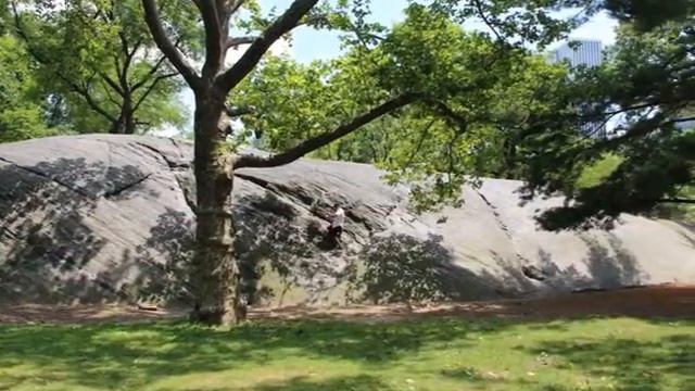 ЦЕНТРАЛЬНЫЙ ПАРК НЬЮ-ЙОРКА (CENTRAL PARK). смотреть онлайн