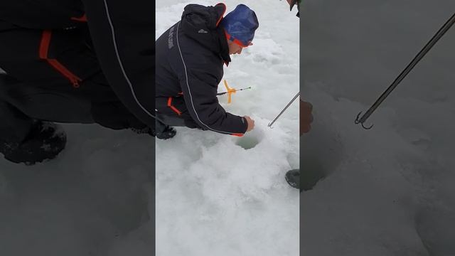 Платный водоём в Подмосковье,ловля форели на поставушки смотреть онлайн