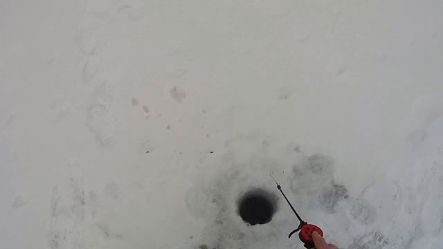 РЫБАЛКА НА ОКЕ С КУМОМ. смотреть онлайн