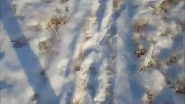 просто пешкарус обидно что время уходит в пустоту sad winter смотреть онлайн