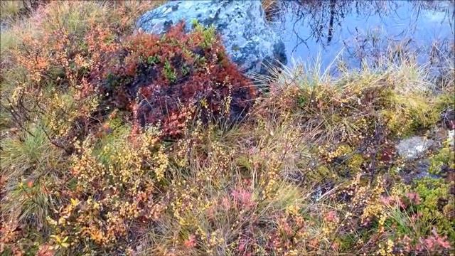 2017 09 20 BESSEGGEN Несостоявшийся трек смотреть онлайн