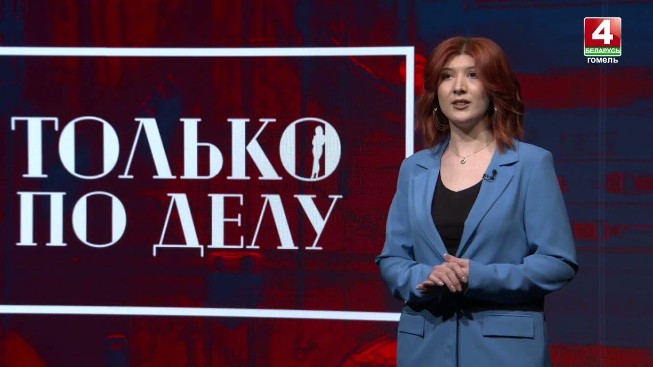 Что из себя представляет новый закон «Об ответственном обращении с животными» смотреть онлайн