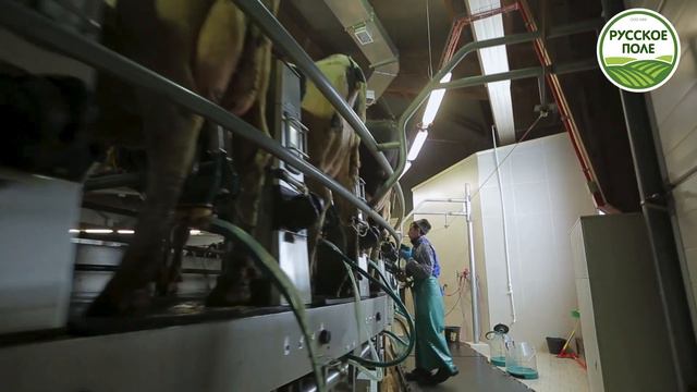 Русское Поле реклама смотреть онлайн