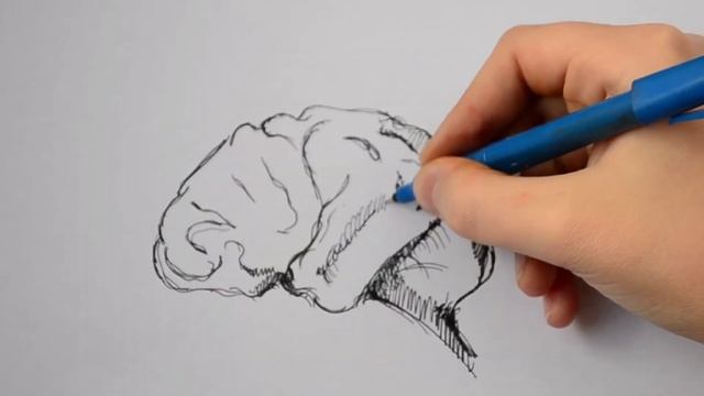 Listen Like That One More Time | The Collapse of The U.S. Stock Exchange смотреть онлайн