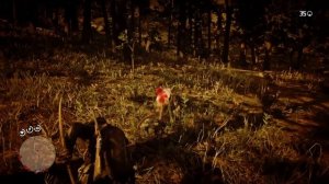 Red Dead Redemption 2 Все испытания Мастер-Охотник