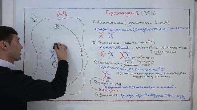 МЕЙОЗ. ИНТЕРФАЗА. ДАВРАХОИ ПРОФАЗАИ 1. смотреть онлайн