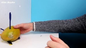 Мини Арбалет Кобра против Кокоса, Ананаса, Манго и других фруктов! alex boyko