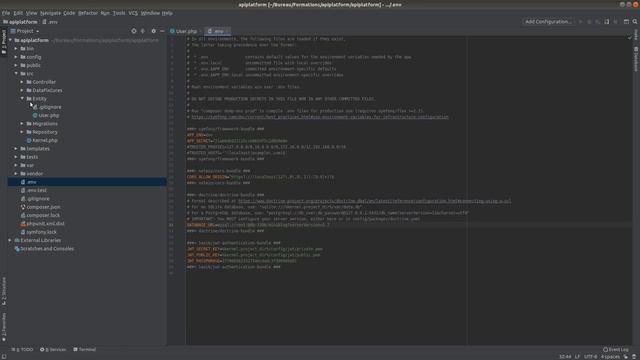 API Platform - Symfony 5 : (mini-blog) смотреть онлайн