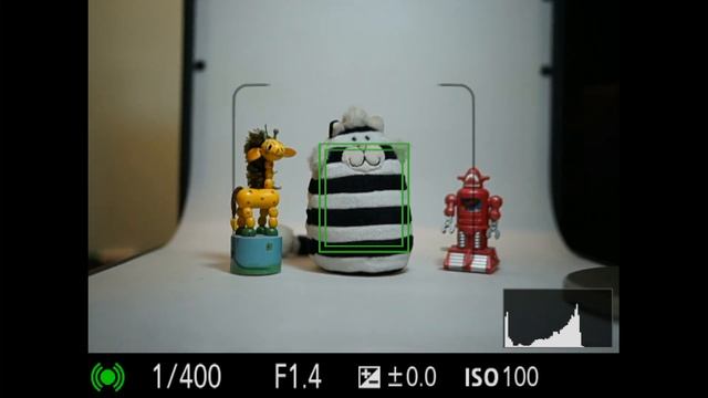 Sony Alpha 7 II Subject Tracking Sample #2 смотреть онлайн