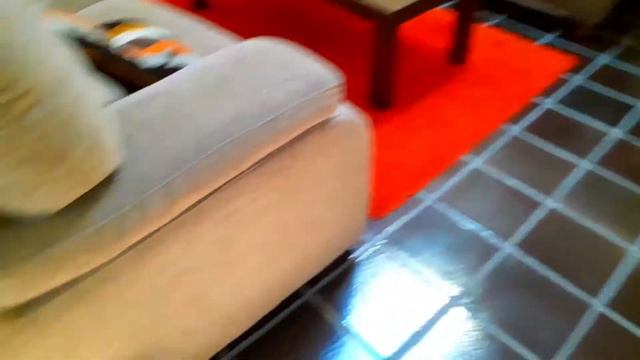 Первое утро кролика в доме для отдыха в Испании. Впервыe так подпрыгивает от радости (#10 17.08.20) смотреть онлайн