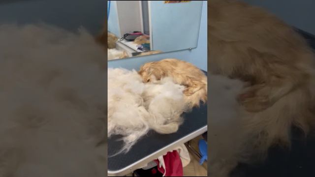 Мейн кун не только смотреть онлайн