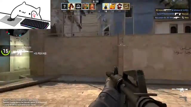 cs:go gameplay (bongo cat) смотреть онлайн