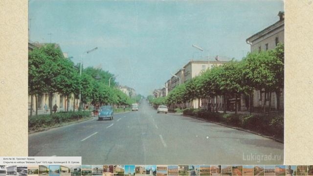 Хватит белить деревья в городе! Великие Луки. смотреть онлайн
