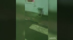 расход на прадо 2.7 в 150 кузове