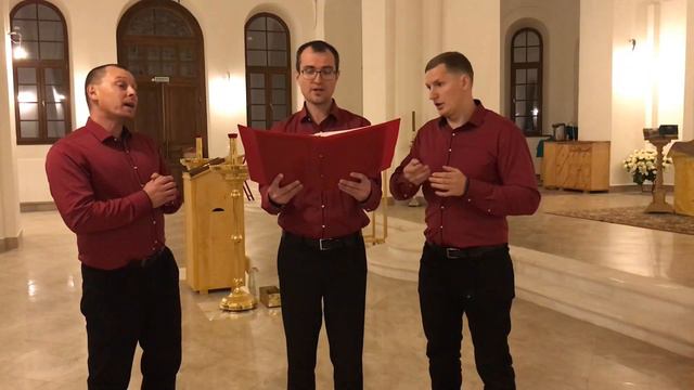 Вокальное трио СПАС - Свете Тихий ( муз. П. Гребенщиков) смотреть онлайн