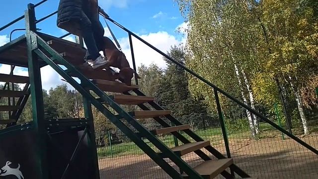 Дрессировка собак -венгерская выжла смотреть онлайн