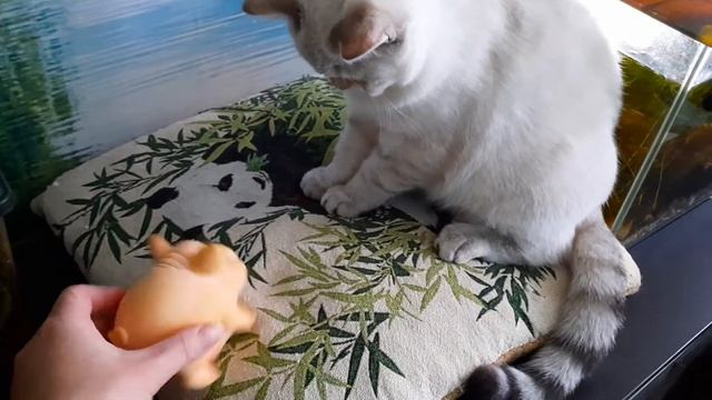 Поросёнок для Карата. смотреть онлайн