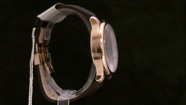 Мужские наручные часы INGERSOLL - IN3900RG смотреть онлайн