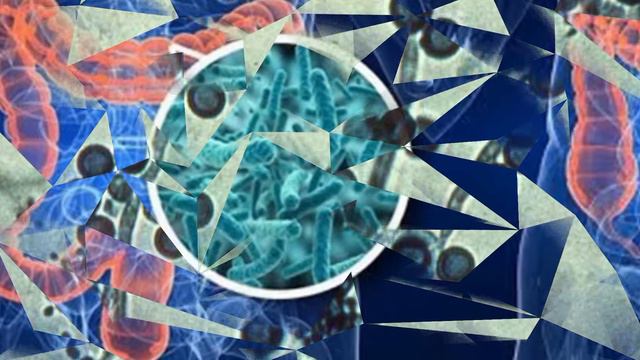 Brutsellyoz Kasalligi_Брутселлёз касаллиги.