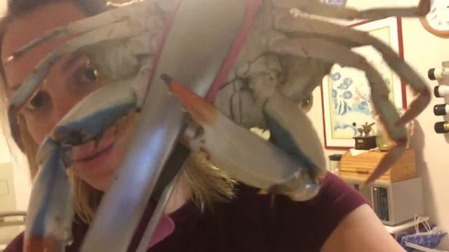 Крабы! Как готовить? смотреть онлайн