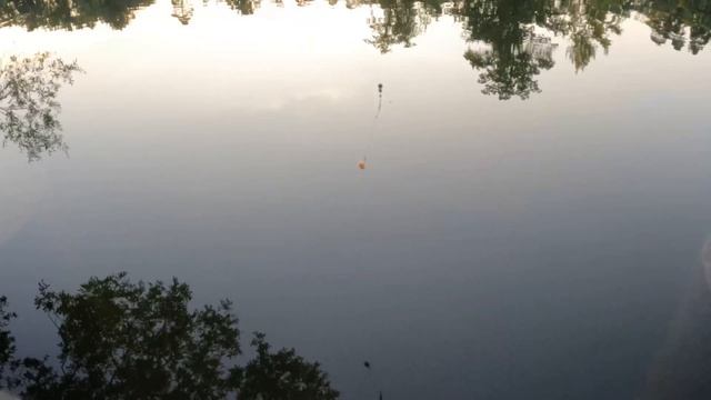 Ловля карася в стиле танаго (TANAGO) микро удочкой 0,89см (18см)