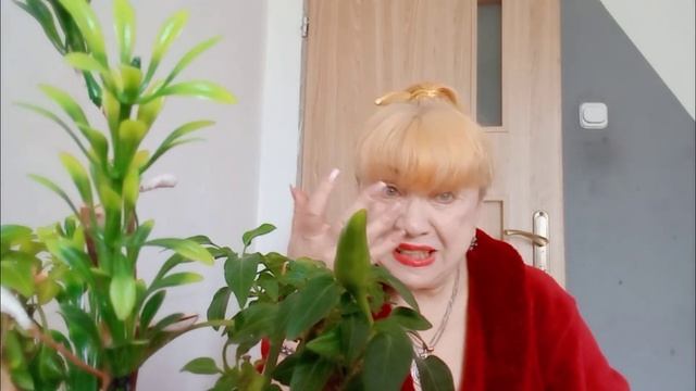 Крашу волосы О статуэтках смотреть онлайн