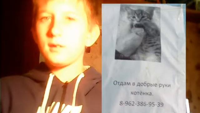 ? ПОМОГИТЕ КОТЕНКУ И СОБАКЕ Грей!?( Читать ОПИСАНИЕ)? смотреть онлайн